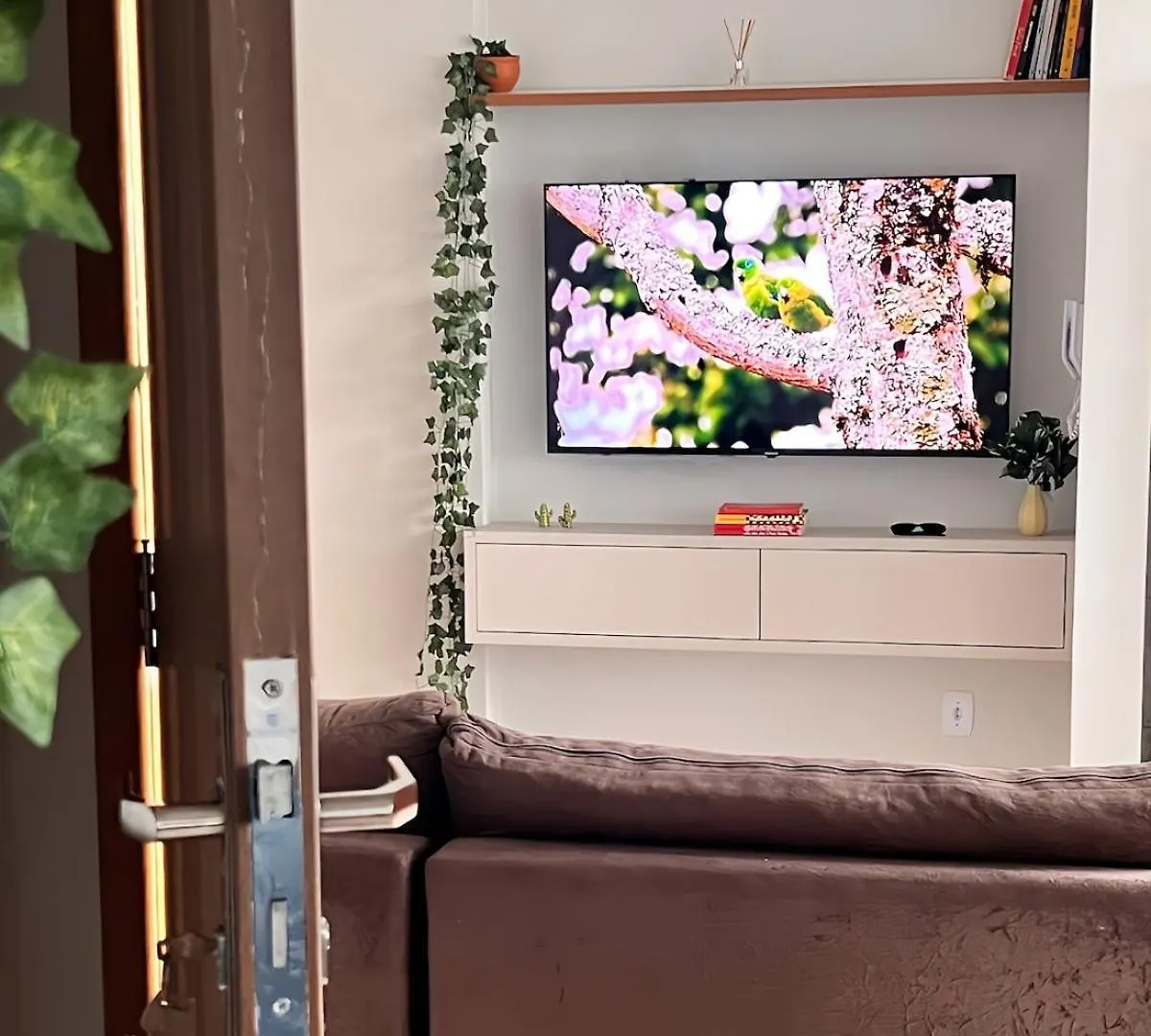 Lägenhet Jungle - Apartamento Pinterest Caldas Novas Brasilien